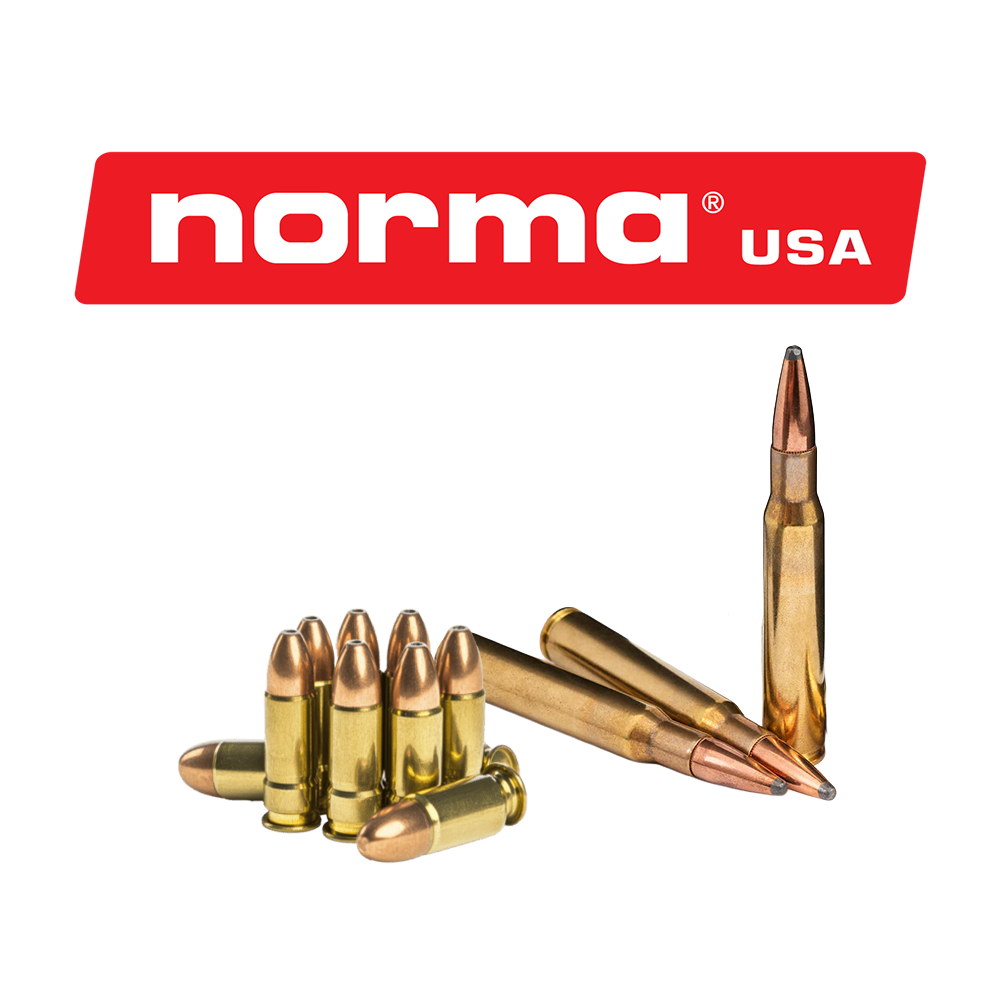 NORMA AMMO 9.3X62 285GR WHITETAIL (20)