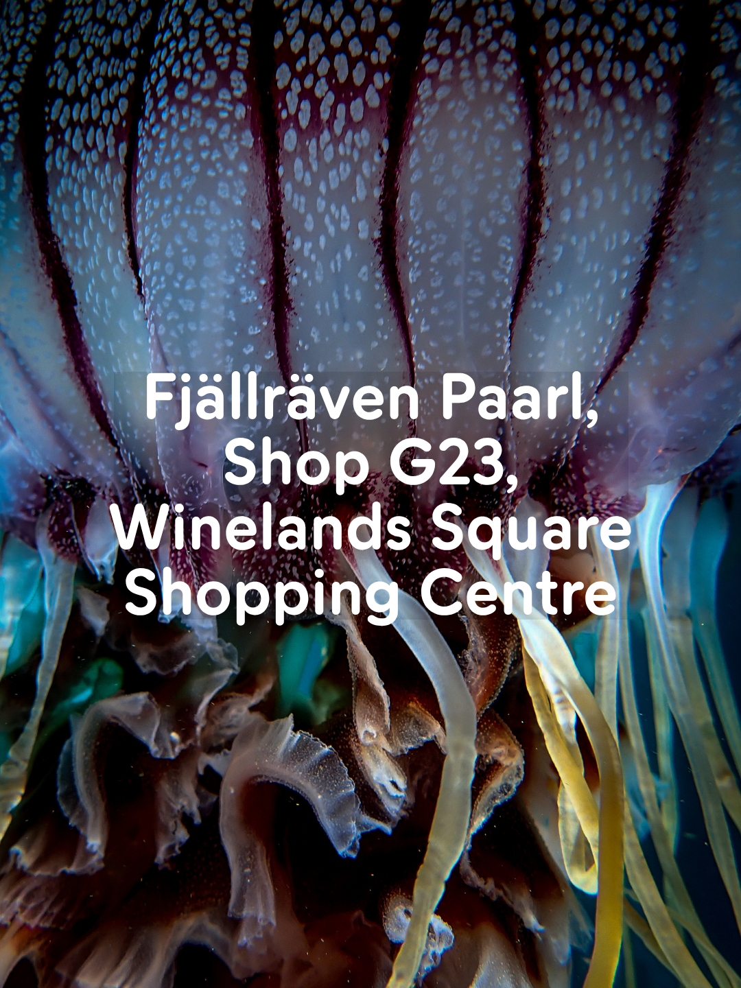 FJÄLLRÄVEN STORYTELLER SERIES - PAARL