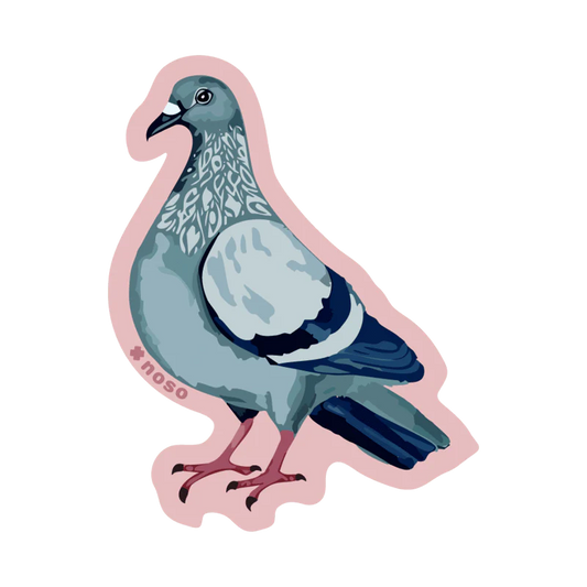 Pigeon